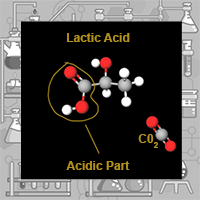 Lactic Acid